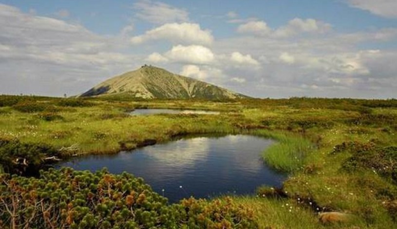 Pension Alba Špindlerův Mlýn